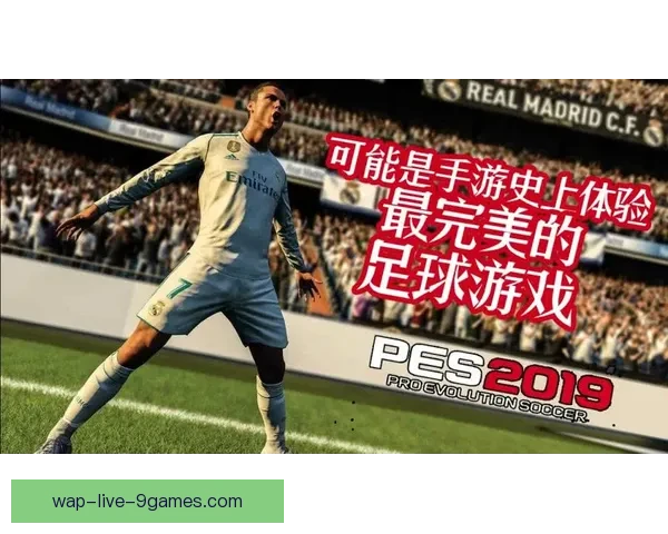 雨燕足球直播网粤语解说打造沉浸式精彩足球赛事体验平台全天实时